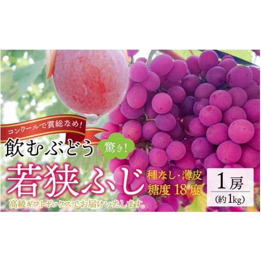 ふるさと納税 福井県 高浜町 受賞歴多数！飲むぶどう 若狭ふじ 1房(約1kg) ≪2024年8月中旬より順次発送≫