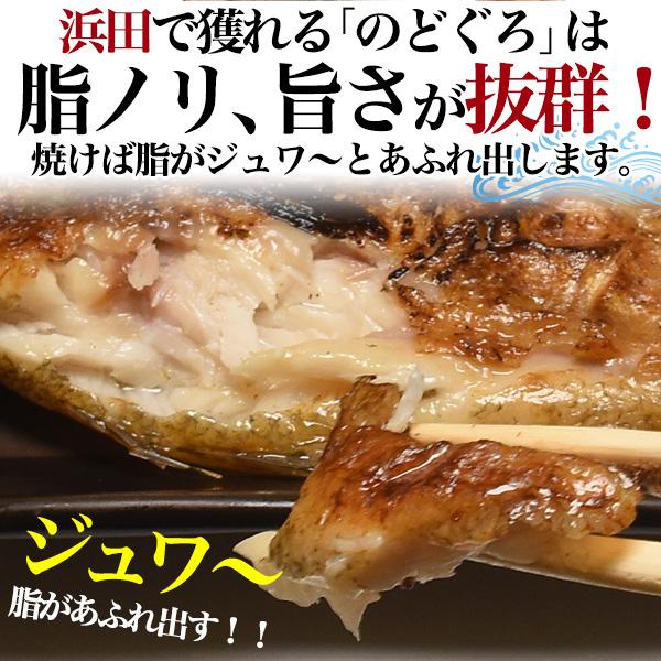 国産 のどぐろ 干物 3尾入り 高級干物 Cセット (6種13枚 詰め合わせ)  ノドグロ アマダイ カレイ アジ カマス スルメイカ 山陰浜田直送 熨斗対応可 冷凍配送