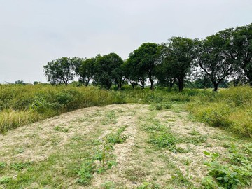 高鐵綠能投資利多農地｜台南市歸仁區林子邊段