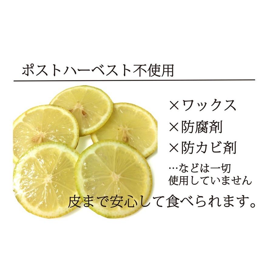 広島産 レモン 大長 有機栽培のレモン 約10kg サイズいろいろ 皮まで食べられます 送料無料 国産レモン 有機JAS認定 広島県大崎下島 下田農園 オーガニック