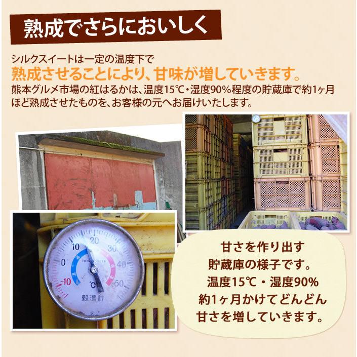 さつまいも 訳あり 5kg 箱込 シルクスイート 内容量4kg 補償分500g 送料無料 生芋 熊本県産 サツマイモ  焼き芋に 芋 いも