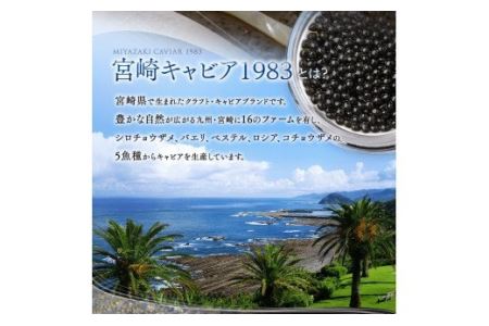 MIYAZAKI　CAVIAR 1983　12g