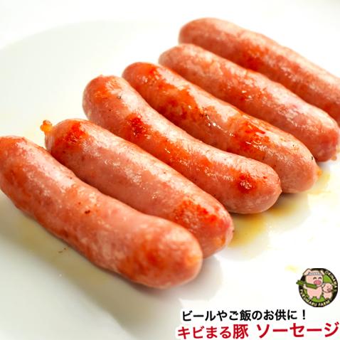 沖縄 きびまる豚 冷凍 ソーセージ バーベキュー 肉 BBQ （プレーン 20g×6本入)