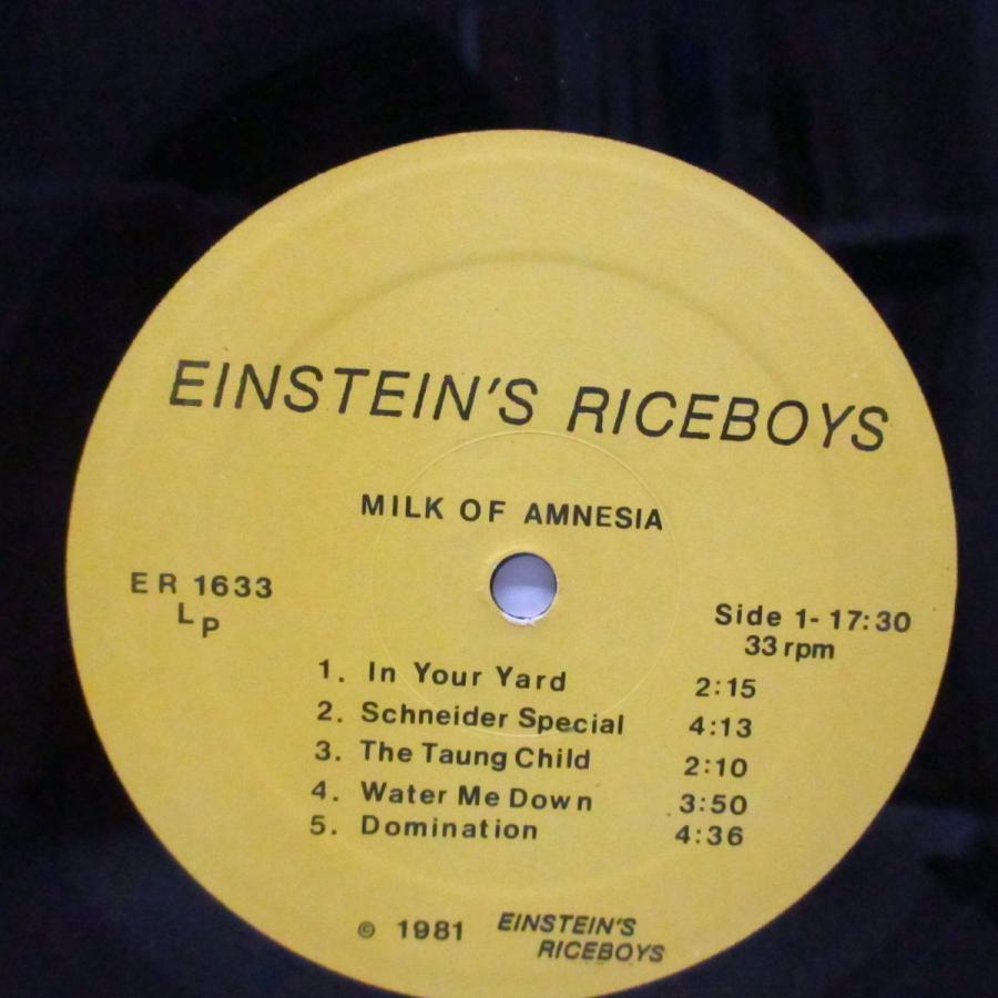 EINSTEIN'S RICEBOYS-Milk Of Amnesia (US オリジナル LP)