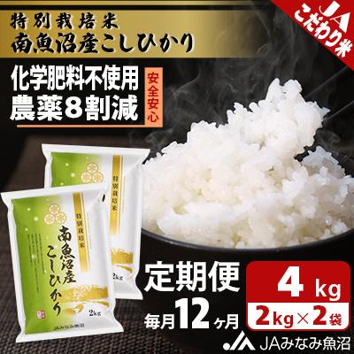 ふるさと納税 南魚沼市 特別栽培米南魚沼産こしひかり8割減 精米 4kg(2kg×2)全12回