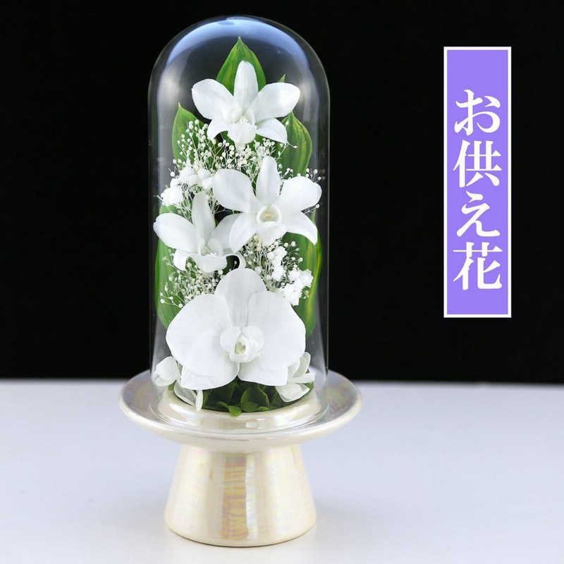 プリザーブドフラワー 胡蝶蘭 Glass 初盆 新盆 仏花 ガラス ドーム お供え花 ブリザードフラワー お悔やみ 花 法事 アレンジメント フラワーギフト 通販 Lineポイント最大0 5 Get Lineショッピング