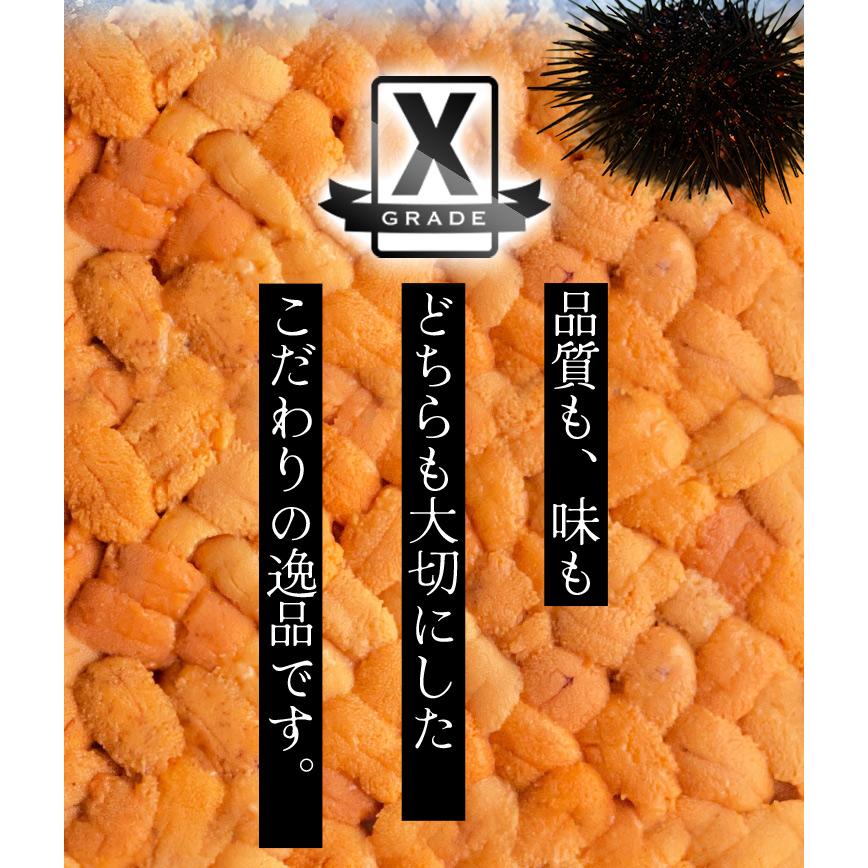 うに 天然 生 ウニ 特選品 Ｘグレード ２００ｇ（１００ｇ×２パック） 冷凍 刺身 雲丹 無添加 海鮮丼