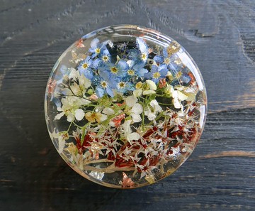 勿忘我耳環 0g 00g 耳規 舞會首飾 樹脂