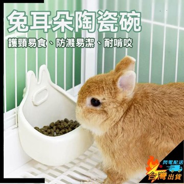 【台灣出貨】兔食盆 小寵陶瓷碗 飼料盆 兔子陶瓷碗 固定食盆 小動物飼料盆 兔子食物盆 飼料碗 兔子用品 兔子碗