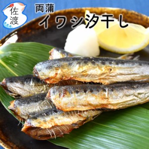 佐渡産 イワシ汐干し 無添加 両蒲 いわし 干物 焼くだけ簡単 おかず 父の日 母の日 プレゼント