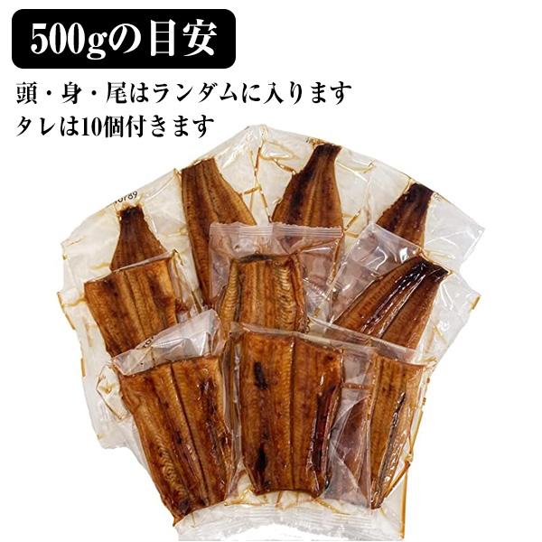 うなぎ 蒲焼き 国産 カット大盛り500g ウナギ 鰻 蒲焼 送料無料