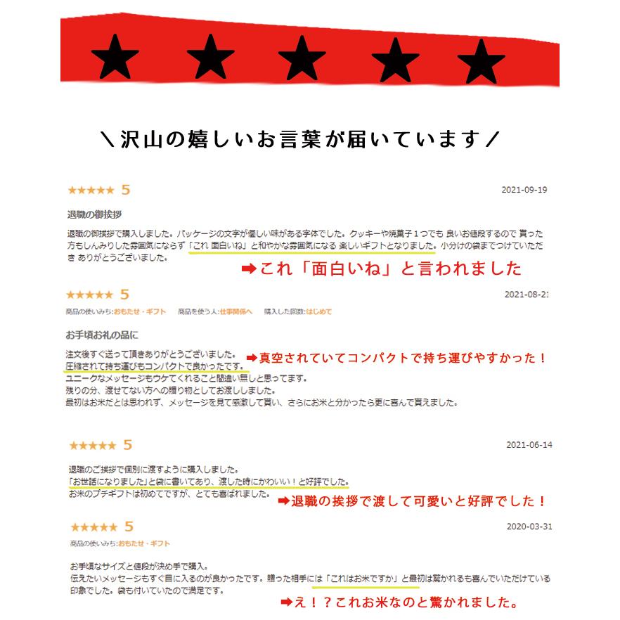 引越し挨拶品 郵便ポストに入れられる 『100個以上専用〜令和5年産 新米 長野県産コシヒカリ 2合 300ｇ』 引っ越し祝い 引っ越し 挨拶 ギフト お米 品物 手土産