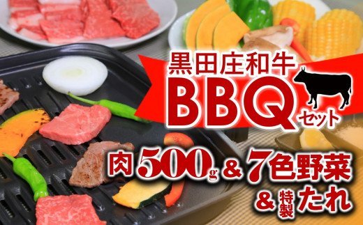 黒田庄和牛BBQセット 肉500g 7色野菜　(35-4)