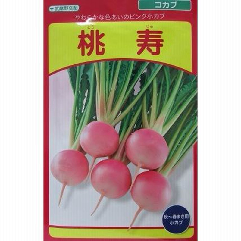 武蔵野交配 桃寿 武蔵野種苗園の小カブ品種です。 通販 LINEポイント最大0.5%GET LINEショッピング