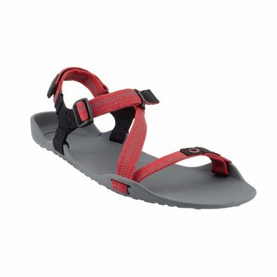Xeroshoes ゼロシューズ Zトレックウィメンズ マルチレッド W5 Ztw Mrd サンダル 女性用 レッド 通販 Lineポイント最大get Lineショッピング