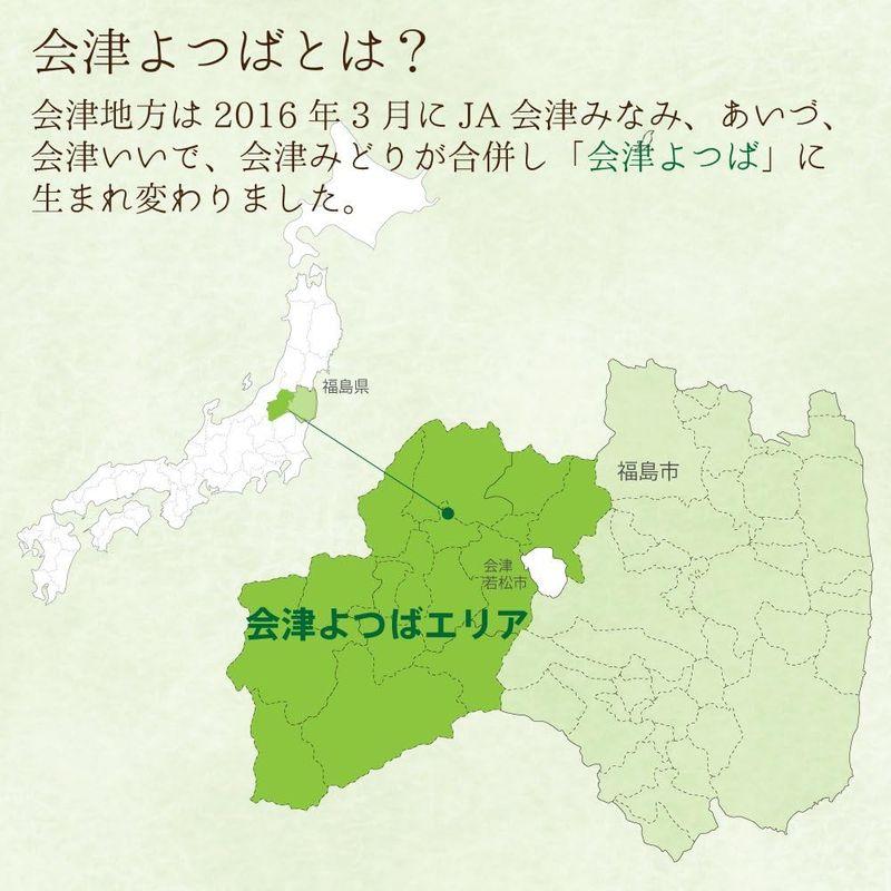 精米 会津産 無洗米 コシヒカリ 令和4年産 10kg