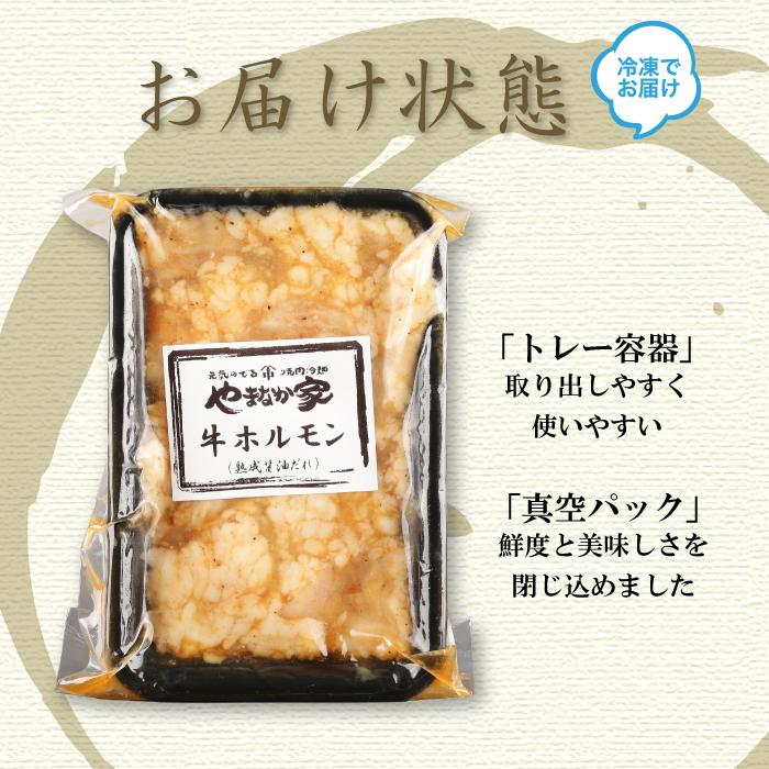 コク旨牛ホルモン200g(K2-009)