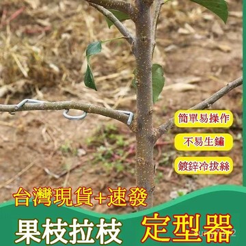 🌟臺灣出貨🌟果樹別枝器 拉枝神器 拉枝定型器 彎枝開角神器 園林蘋果樹櫻桃樹梨樹定型器 拉枝器 花卉拉枝神器 樹枝定型器
