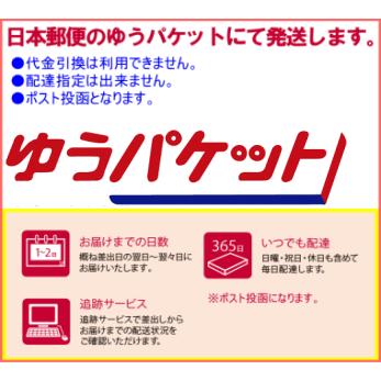 送料無料　ドライマンゴー　無添加 （食品添加物無し）　 100g　ミスターマンゴーオリジナル