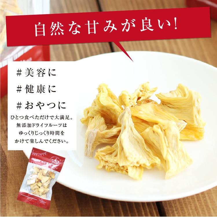 ドライフルーツ パイナップル ドライパイン (55g)砂糖不使用 無添加  送料無料 ドライパイナップル 国内加工 お菓子 おやつ ヨーグルト かわいい ギフト お歳暮