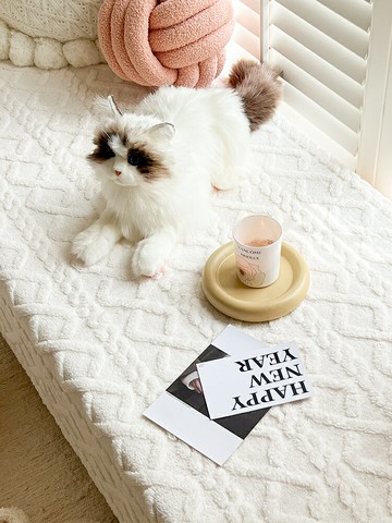 優樂悅~ins奶油色毛絨秋冬臥室飄窗墊防滑窗臺墊陽臺榻榻米坐墊