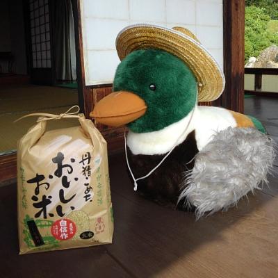 ふるさと納税 飯南町 カモしゃん米　玄米5kg