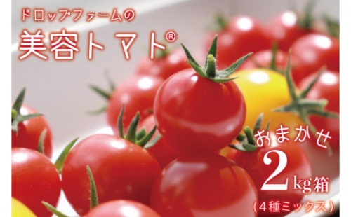 CK-2　ドロップファームの美容トマト おまかせ2kg箱(４種ミックス)