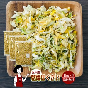 乾燥はくさい 1kg×3／九州産 乾燥野菜 白菜 宅配便 送料無料 九州産 国産 ボイル済み ドライベジ アウトドア キャンプ 保存食 時間短縮