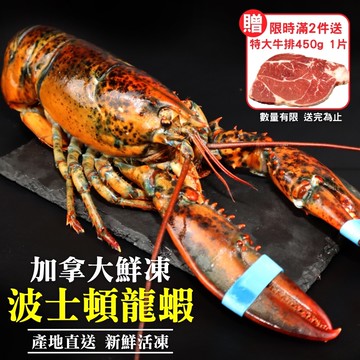 第二件送好禮【海肉管家】活凍波士頓龍蝦(2尾_400-500g/尾)