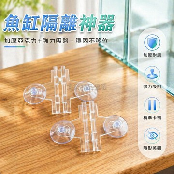 台灣出貨✨ 免打孔魚缸隔離板 玻璃缸吸盤卡扣 亞克力固定器 魚缸分隔板 水族箱配件