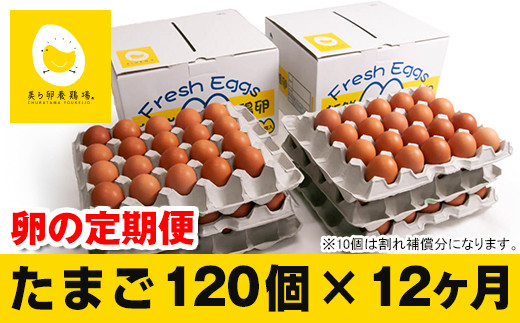 12ヵ月連続お届け　美ら卵養鶏場の卵　各月120個