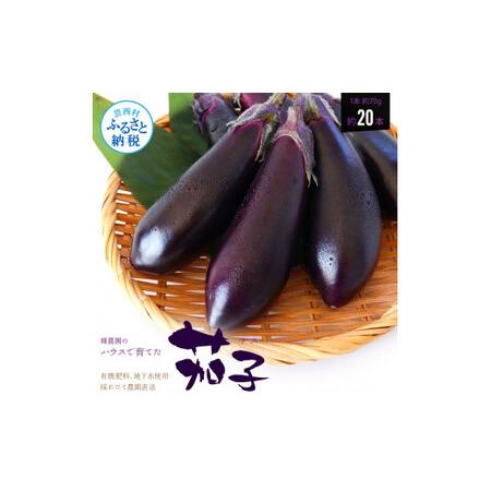 ふるさと納税 茄子（1本約70g）約20本入り 高知県産 芸西村 ナス なす 野菜 新鮮 お取り寄せ 美味しい 煮浸し 味噌汁 麻婆茄子 料理 ふるさと.. 高知県芸西村