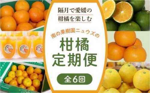  産地直送！愛媛県産柑橘≪柑橘 みかん ギフト≫