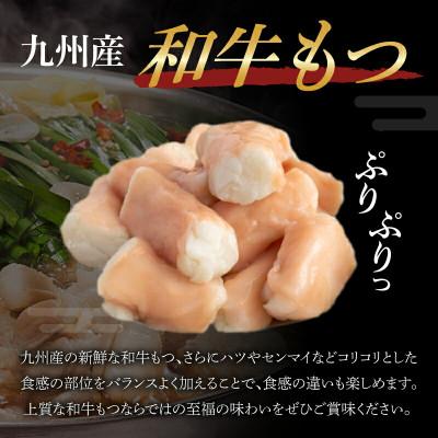 ふるさと納税 上毛町 もつ鍋専門店 笑楽の和牛もつ鍋セット2〜3人前 みそ味