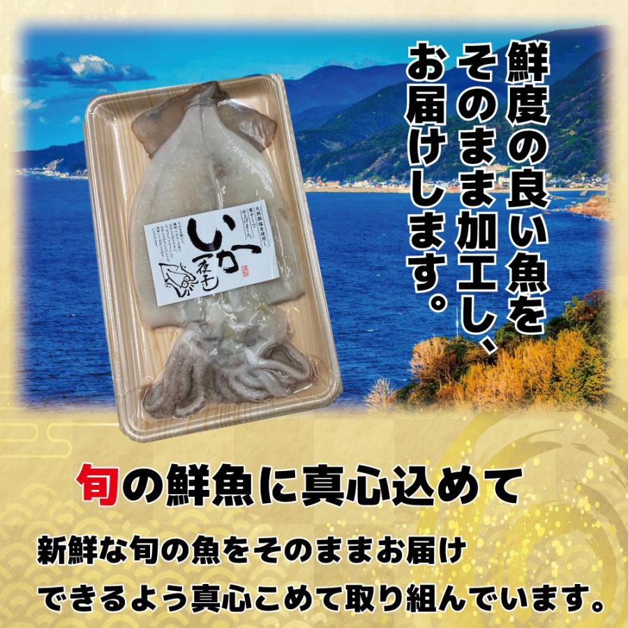 お徳用４パック入り いか一夜干し2尾入り4パック ふっくら肉厚 職人技 旨味あふれる 海鮮