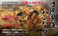 丹波黒豆ハンバーグ　１０パック