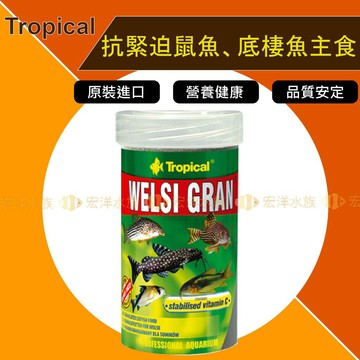 Tropical 德比克【抗緊迫鼠魚、底棲魚主食】●針對底棲魚、異型、鼠魚強化配方●鼠魚飼料、異型飼料、魚飼料〝宏洋