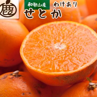 ふるさと納税 日高町 家庭用せとか2.5kg 75g(傷み補償分)