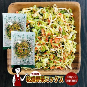 乾燥野菜ミックス 100g×2(計200g)〔チャック付〕／九州産 乾燥野菜 きゃべつ 小松菜 大根 人参 メール便 送料無料 チャック付 九州産 ミ