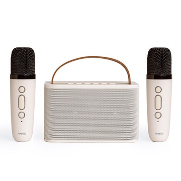 RASTO RD15 10W雙麥克風美聲多模式歡唱藍牙5.3喇叭