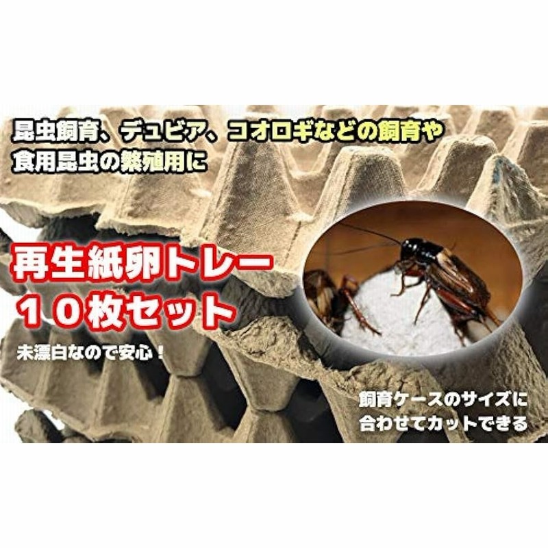 昆虫 ハウス 卵トレー 卵パック 紙製 コオロギ デュビア 飼育用 繁殖用 10枚セット | LINEブランドカタログ