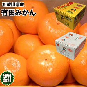 みかん 10kg 有田 和歌山県産 有田 みかん 赤秀 Lサイズ 10kg 送料無料 贈答用 ギフト みかん 10Kg 和歌山 有田みかん お歳暮 ギフト