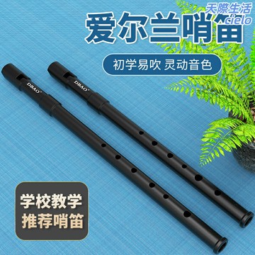 【專業高音】愛爾蘭哨笛 C調D調笛子 豎笛 直笛 樂器 教學笛 演奏笛 黃銅材質 精準音孔 兒童初學推薦 校園民謠演奏