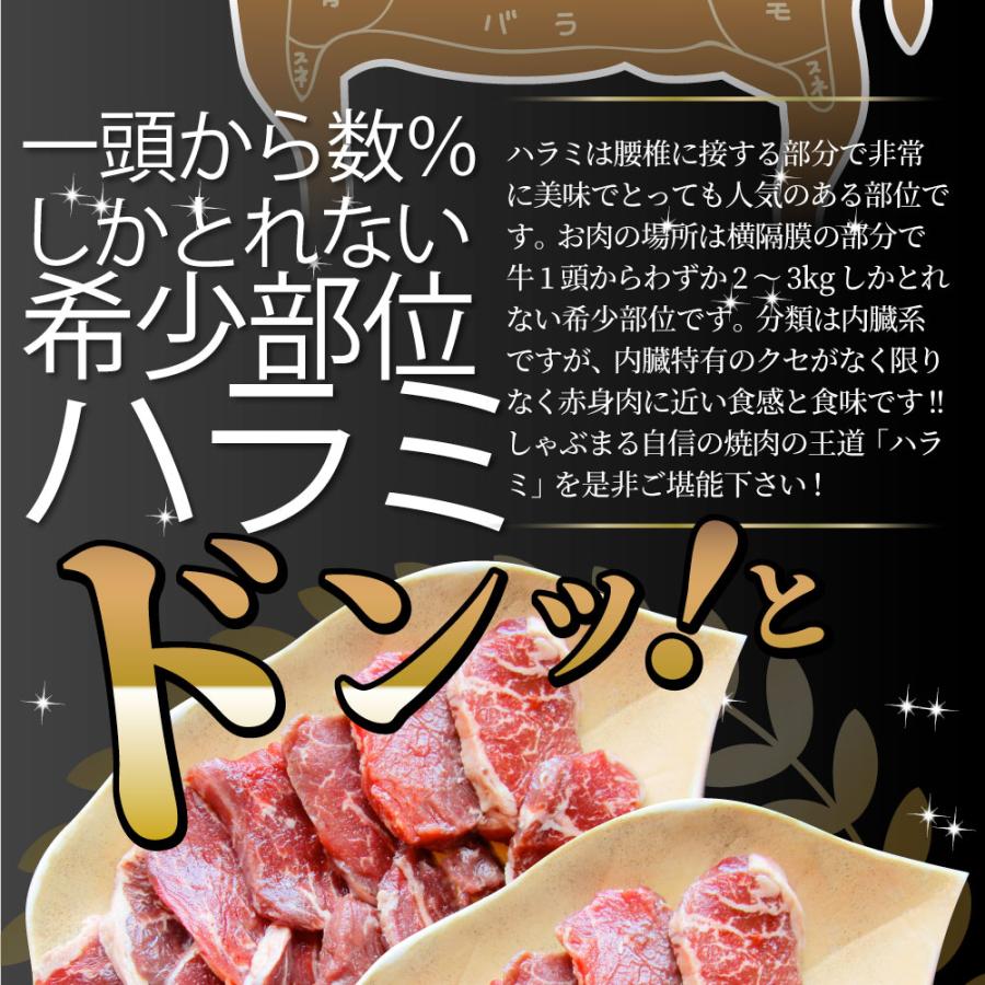 牛ハラミ焼肉 500g（250g×2P）焼肉 赤身 はらみ やきにく ハラミ アウトドア お家焼肉 送料無料 キャンプ キャンプ飯