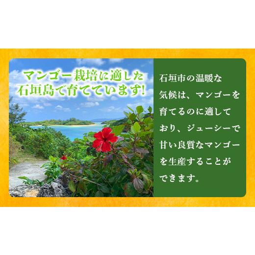 ふるさと納税 沖縄県 石垣市 《2024年6月下旬〜7月下旬発送》最高糖度23度！？ 完熟！7Lサイズ お得な幻のキーツマンゴー【沖縄 石垣島 石垣 八重山…