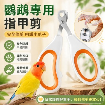 省錢鋪寵物】 鸚鵡專用指甲剪爪子鳥用指甲剪新手磨甲器虎皮玄鳳牡丹鳥貓咪用品 貓咪指甲剪 寵物指甲剪 貓壹 指甲剪 寵物貓