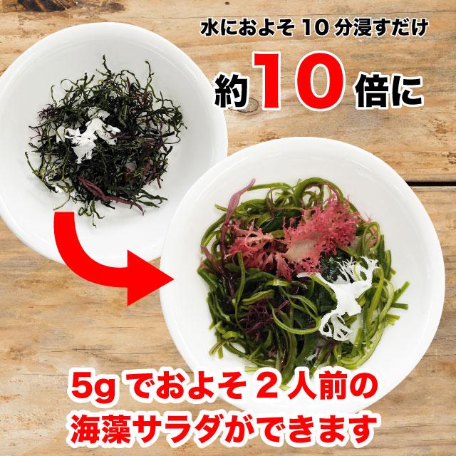 海藻サラダ 国産 乾燥サラダ 7種の海藻 20g お試し品 送料無料