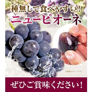 ふるさと納税 ニューピオーネ 2房 1kg ウィズフラワーホールディングス《9月上旬-10月中旬頃出荷》岡山県 浅口市 ぶどう ピオーネ フルーツ 旬 .. 岡山県浅口市