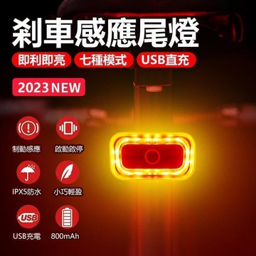 【雲渡小鋪】鋁合金 CNC 煞車感應 尾燈 後燈  燈 方形自行車智能尾燈 煞車尾燈 USB充電