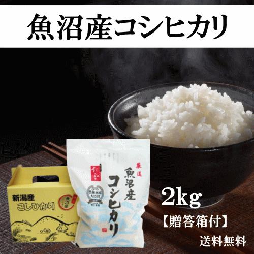 送料無料 令和５年産 魚沼産コシヒカリ 2kg ご贈答箱付 おこめ 精米 新潟